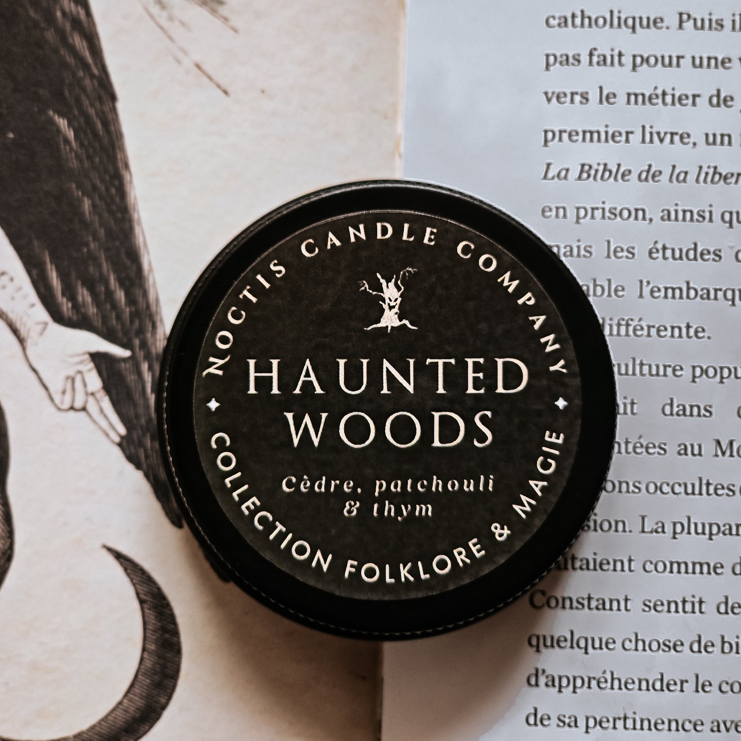 HAUNTED WOODS